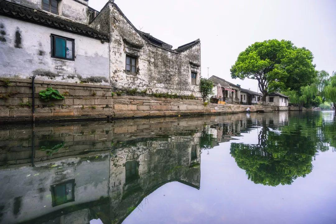 实木手串中的天后：印度小叶紫檀